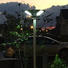 Tunto unique decorative garden lights solar powered inquire now for household
