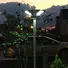 Tunto decorative solar garden lights with good price for outdoor